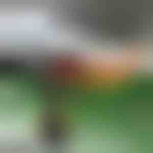 Grijač za automobil i odmrzivač vjetrobranskog stakla | TURBOCUP