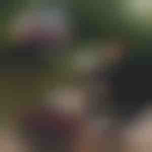 Sklopiva kanta za ribolov | RIBETINA