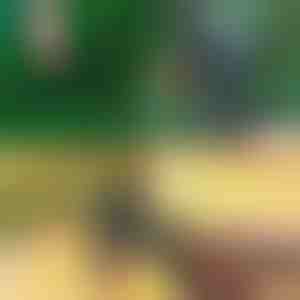 Profesionalne škare za rezidbu i cijepljenje 2-u-1 | MASTERCUT