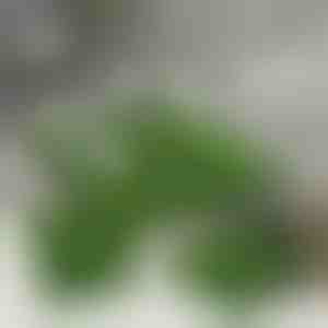 Dekorativne pločice od umjetne trave (5 kom) | GRASSTILE